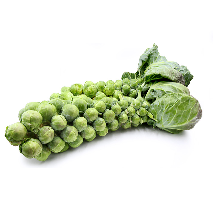 Hạt giống bắp cải tí hon, bắp cải Mini Brussels - Ảnh 1